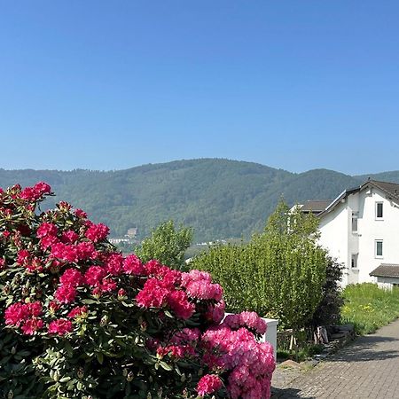 Ferienwohnung Rhein-Panorama Lahnstein Kültér fotó