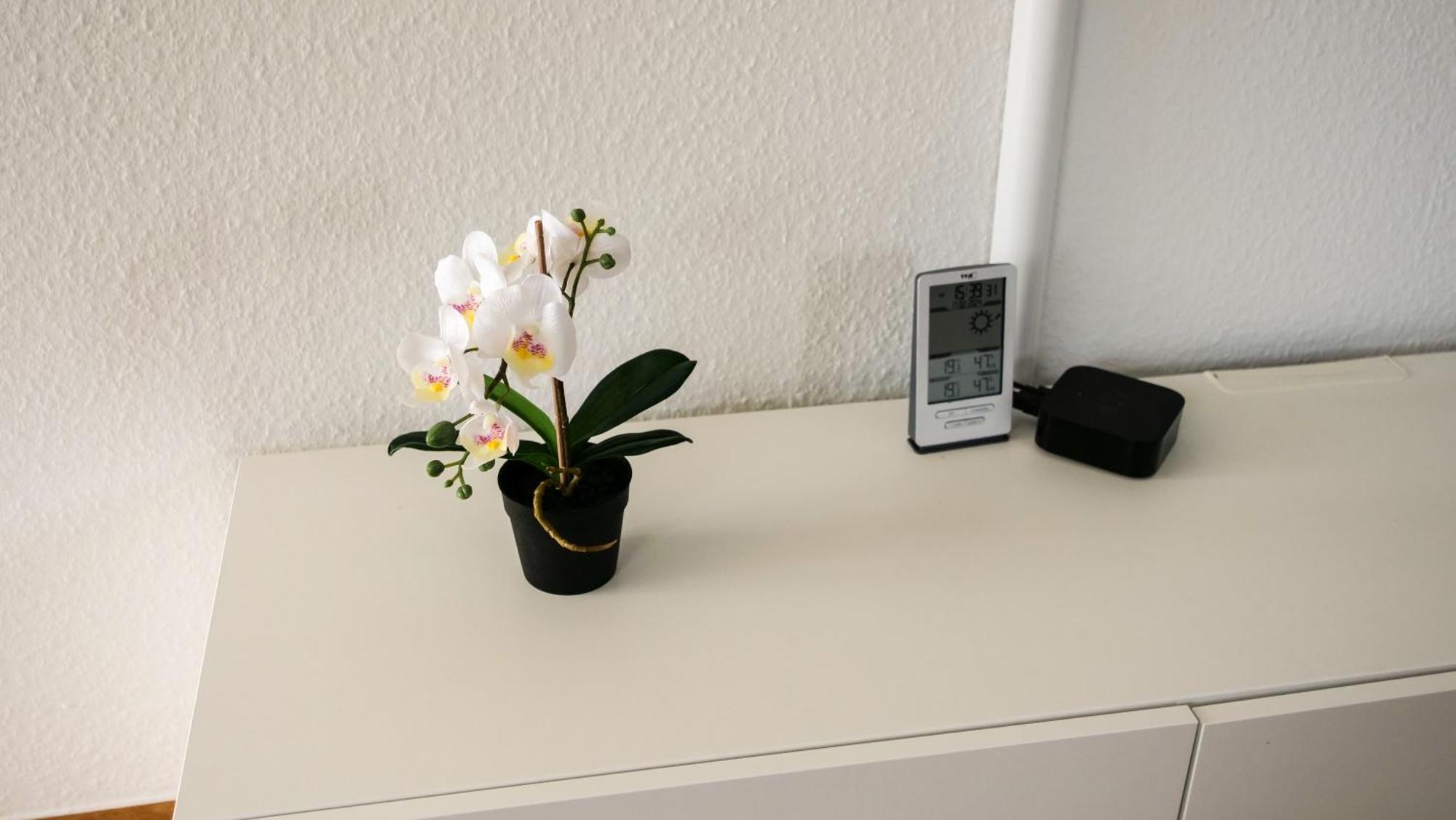 Ferienwohnung Rhein-Panorama Lahnstein Kültér fotó