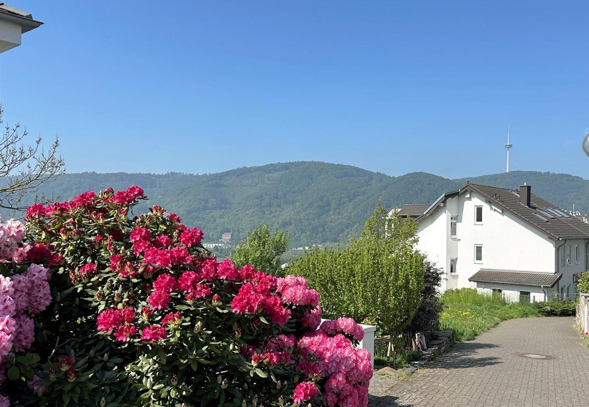 Ferienwohnung Rhein-Panorama Lahnstein Kültér fotó